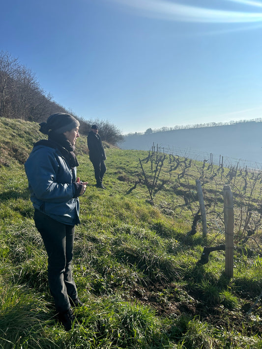 Newsletter: 2022 Marie-Pierre Chevassou-Fasenet Pinot Noir