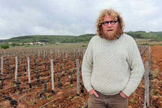 Holiday Countdown 2022 (DAY 2) - Sylvain Pataille Bourgogne Rouge 2019