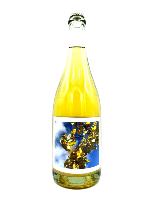 Piquenique, Quince Cider 2021